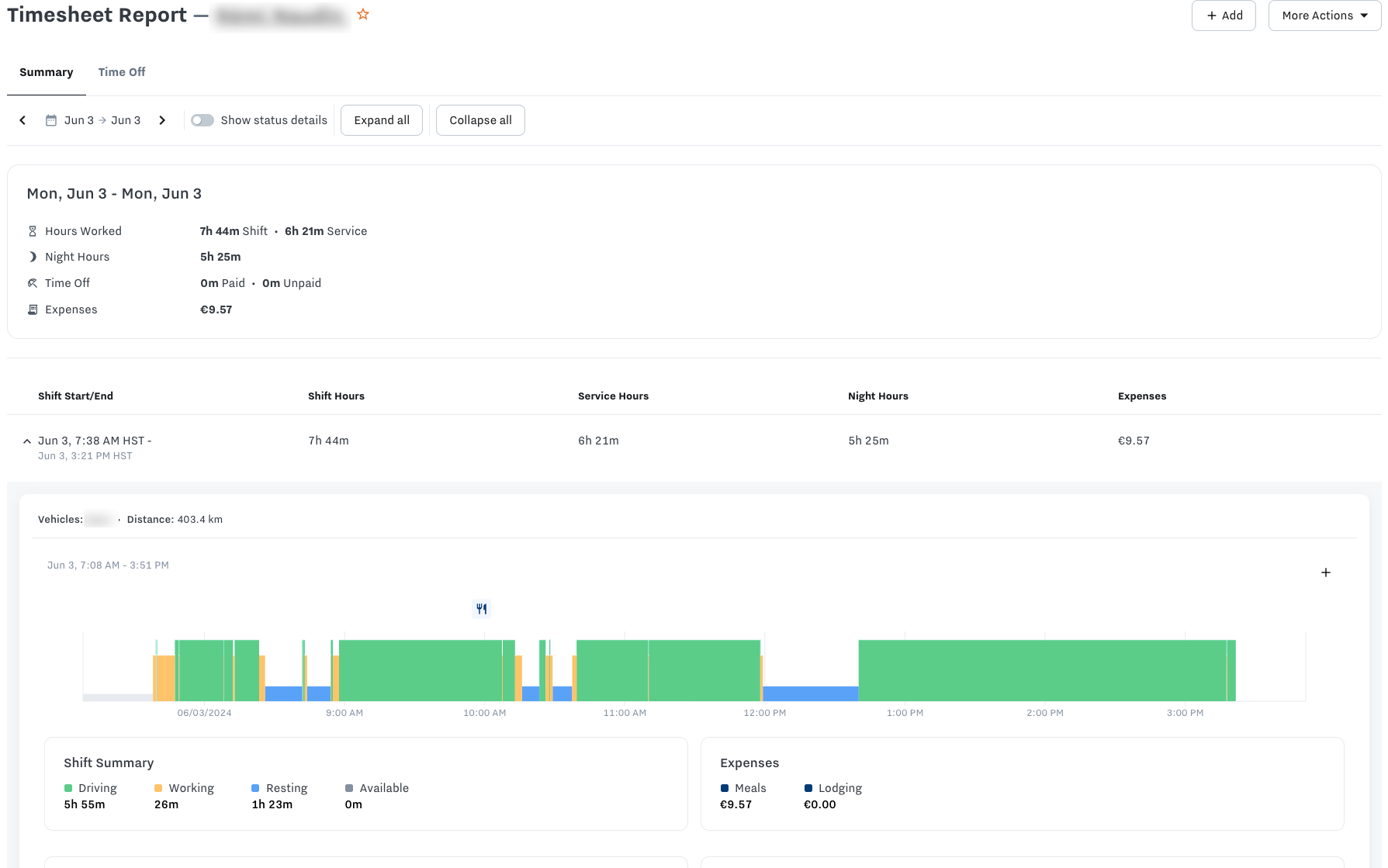 timesheet_report_details.png