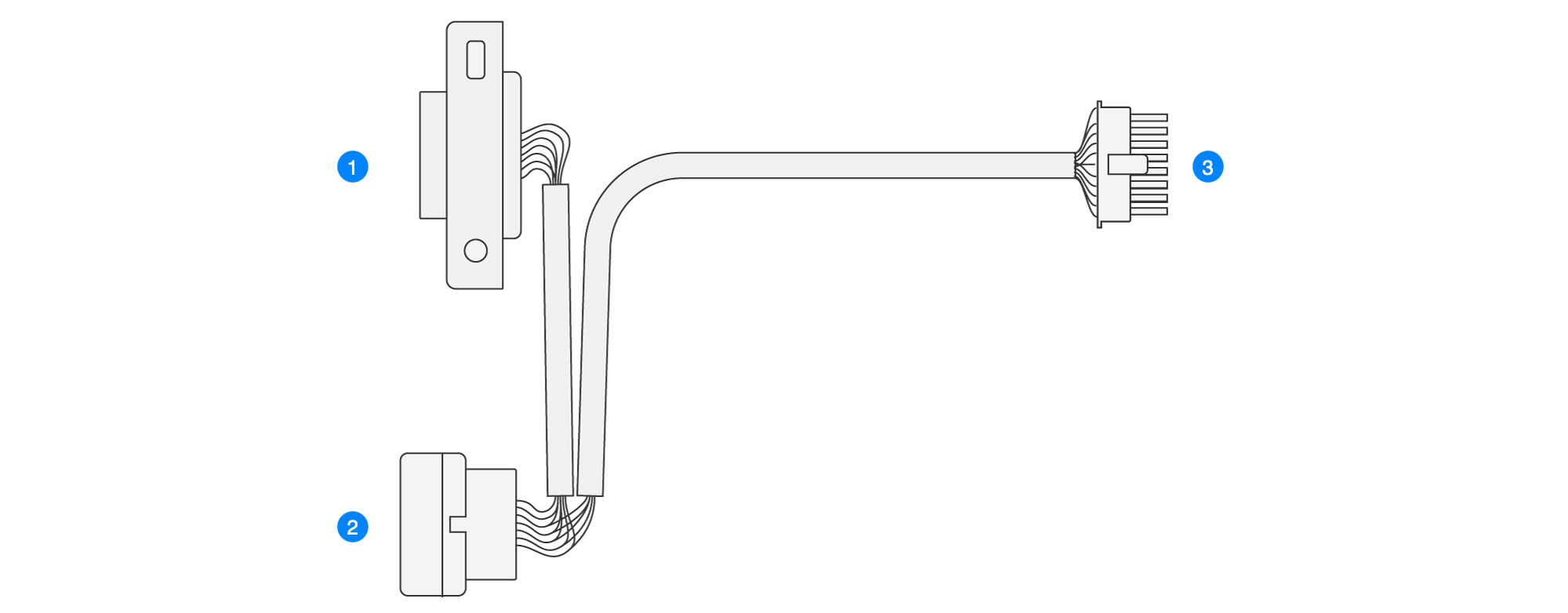 COBDII-Y1-Y2_Diagram_2024-6-17.png