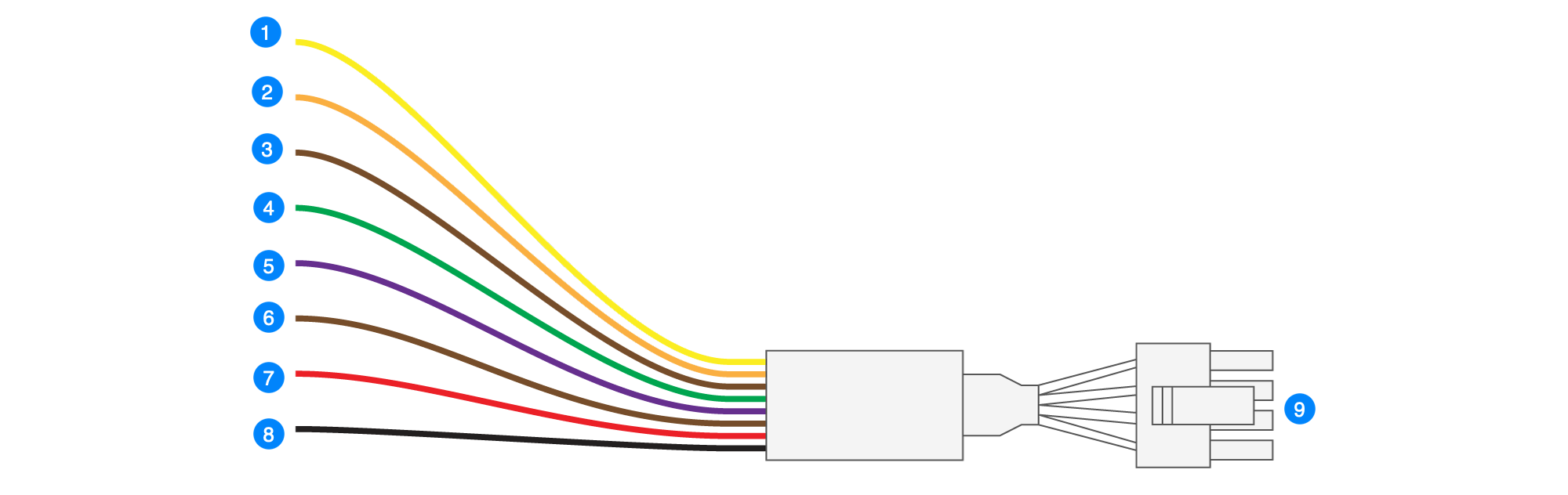 image1.png