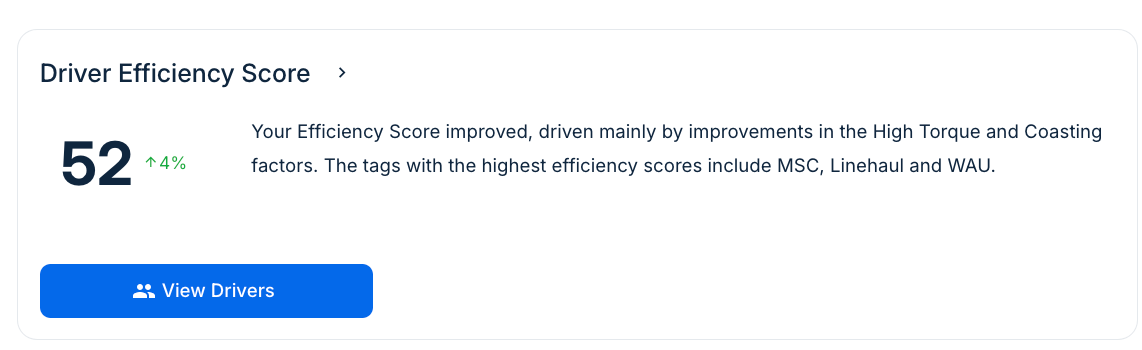 performance-overview-driver-efficiency.png