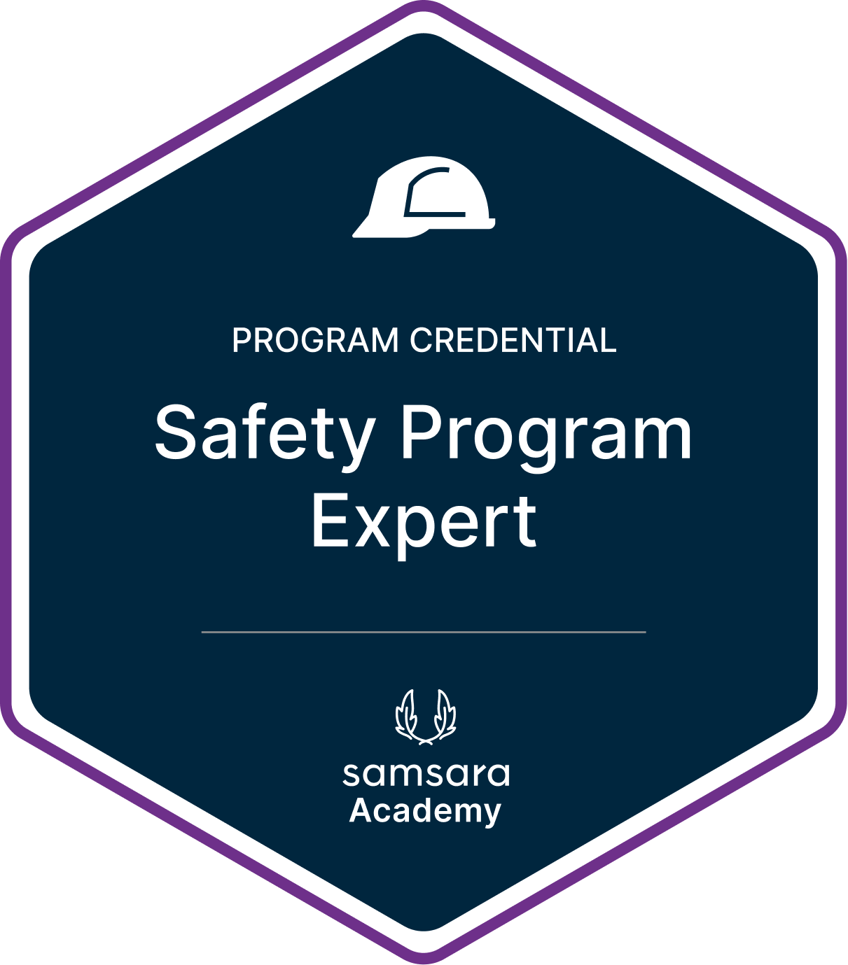 Safety Program (1).png