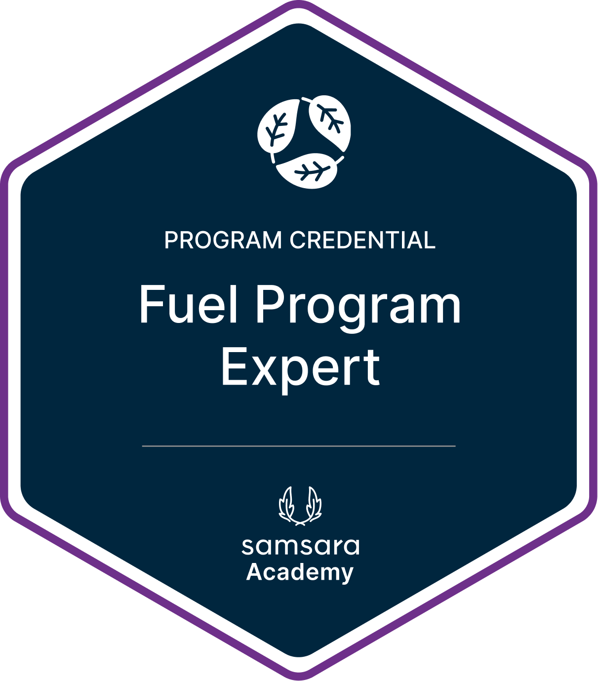 Fuel Program (3).png