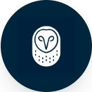 decagon-icon.png