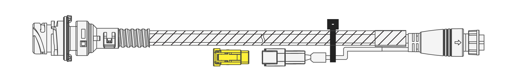 Graphics_EBS-5_2025-06-30.png