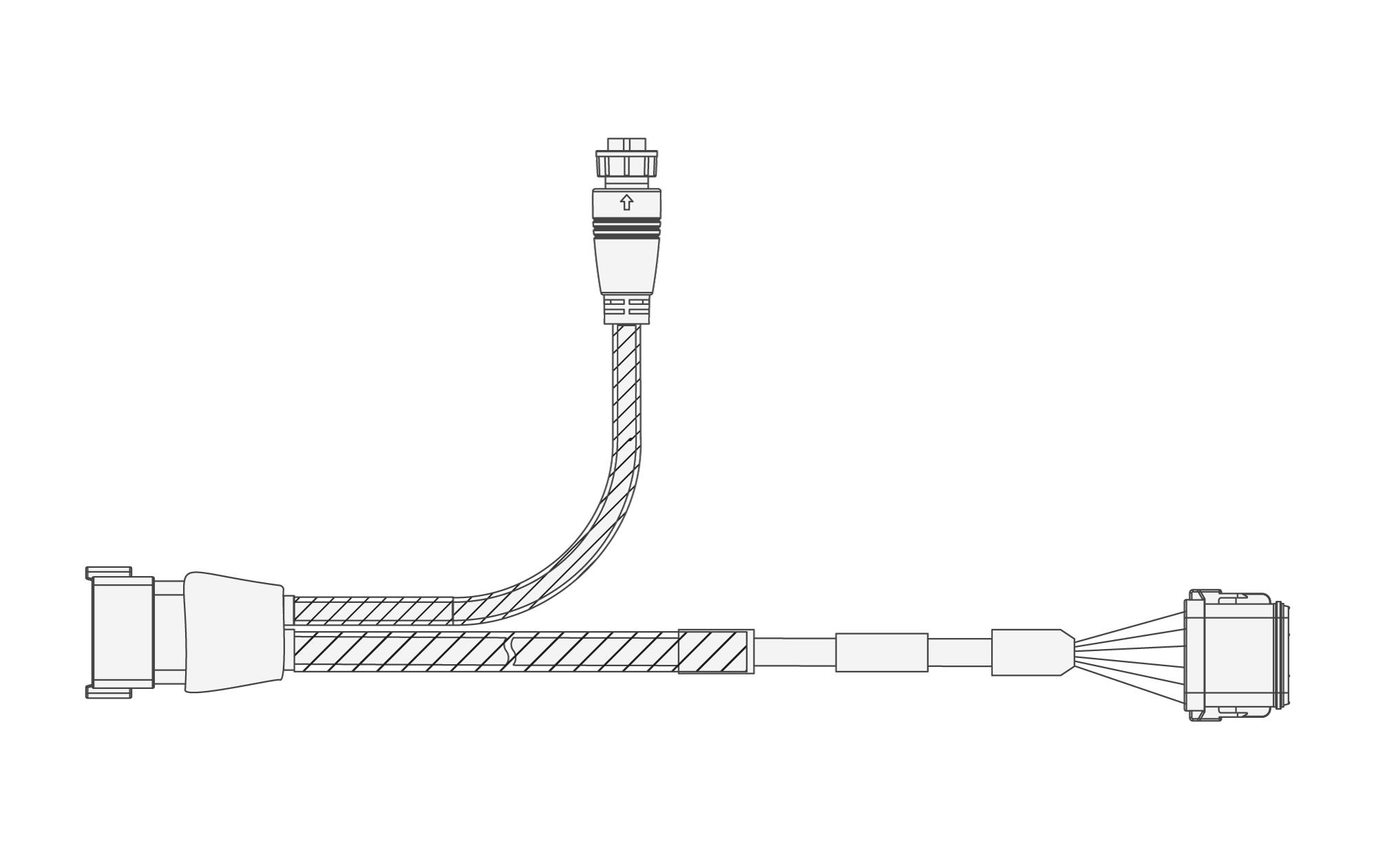 Graphics_EBS-4_2025-06-30.png